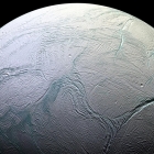 Discovery in Enceladus' Ocean  Thumb