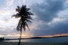Sunrise, Bahia del Sol