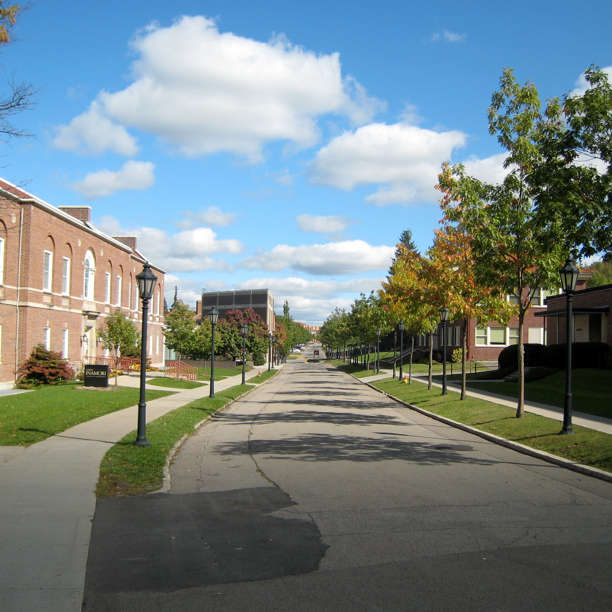 Alfred University